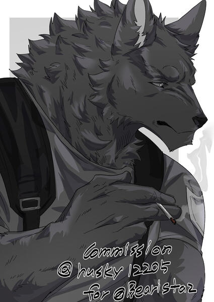 Art by @husky12205_Dm on X/Twitter